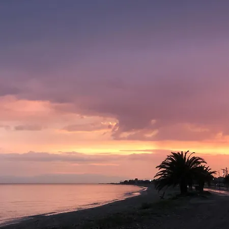 Hawaii House Case de vacanță