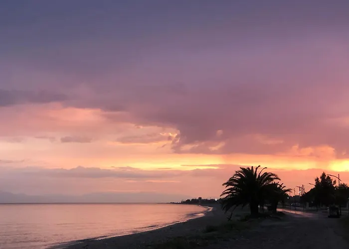 Hawaii House Vakantiehuis