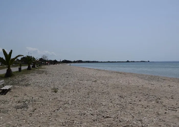 Hawaii House Vakantiehuis